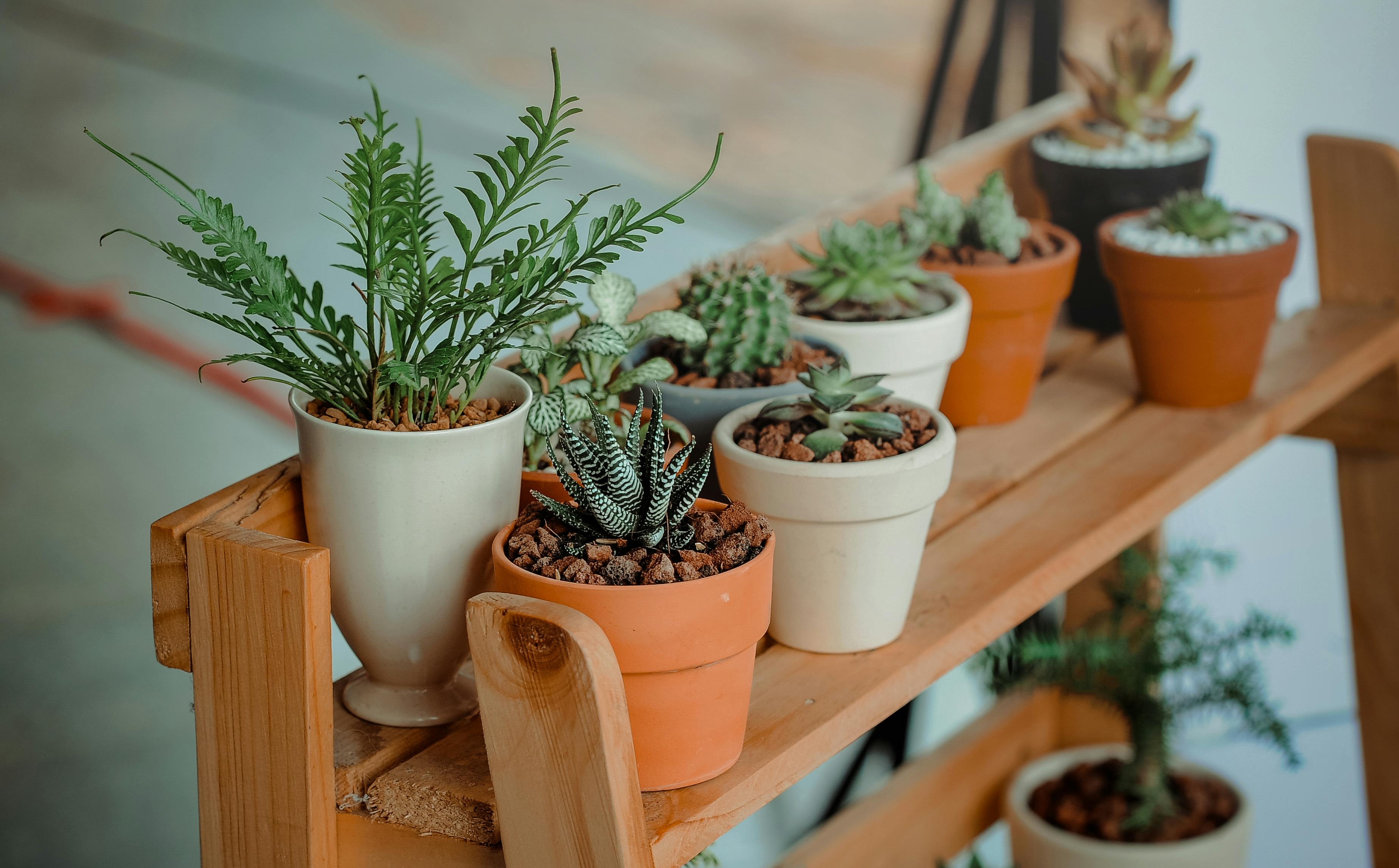 Introducing Raydin's Product Sustainability Ratings: Shop with Confidence