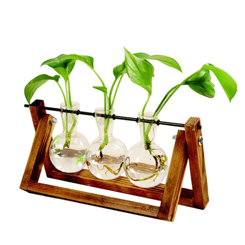 Hydroponic Plant Vase Swing - Raydin