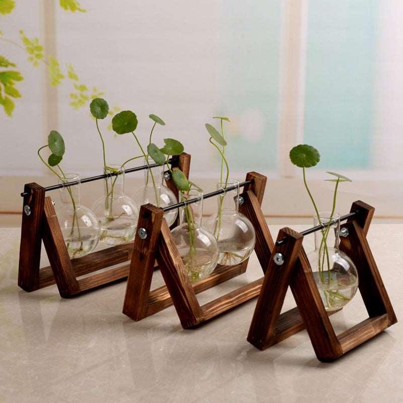 Hydroponic Plant Vase Swing - Raydin